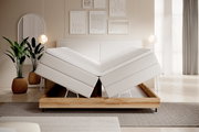 Modernes Boxspringbett mit verstellbaren Matratzen, frontal fotografiert in einem stilvoll eingerichteten Schlafzimmer mit Pflanzen und Wanddekorationen.