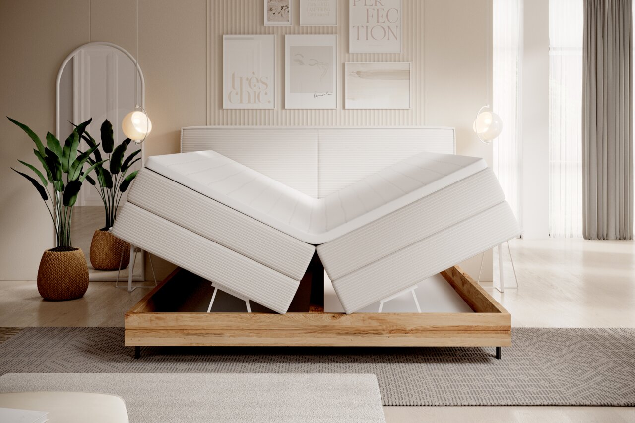 Modernes Boxspringbett mit verstellbaren Matratzen, frontal fotografiert in einem stilvoll eingerichteten Schlafzimmer mit Pflanzen und Wanddekorationen.