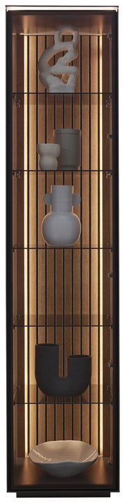 Vitrine mit moderner Dekoration, frontal betrachtet, mit Beleuchtung und Holzrückwand.