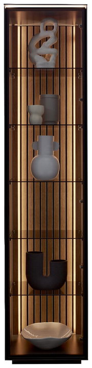 Vitrine mit moderner Dekoration, frontal betrachtet, mit Beleuchtung und Holzrückwand.