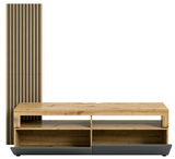 Frontale Ansicht eines Lowboards mit Paneel in Holzoptik und dunklen Akzenten.