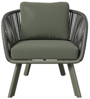 Moderner Loungesessel mit grünem Kissen und schwarzem Rahmen, Frontalansicht