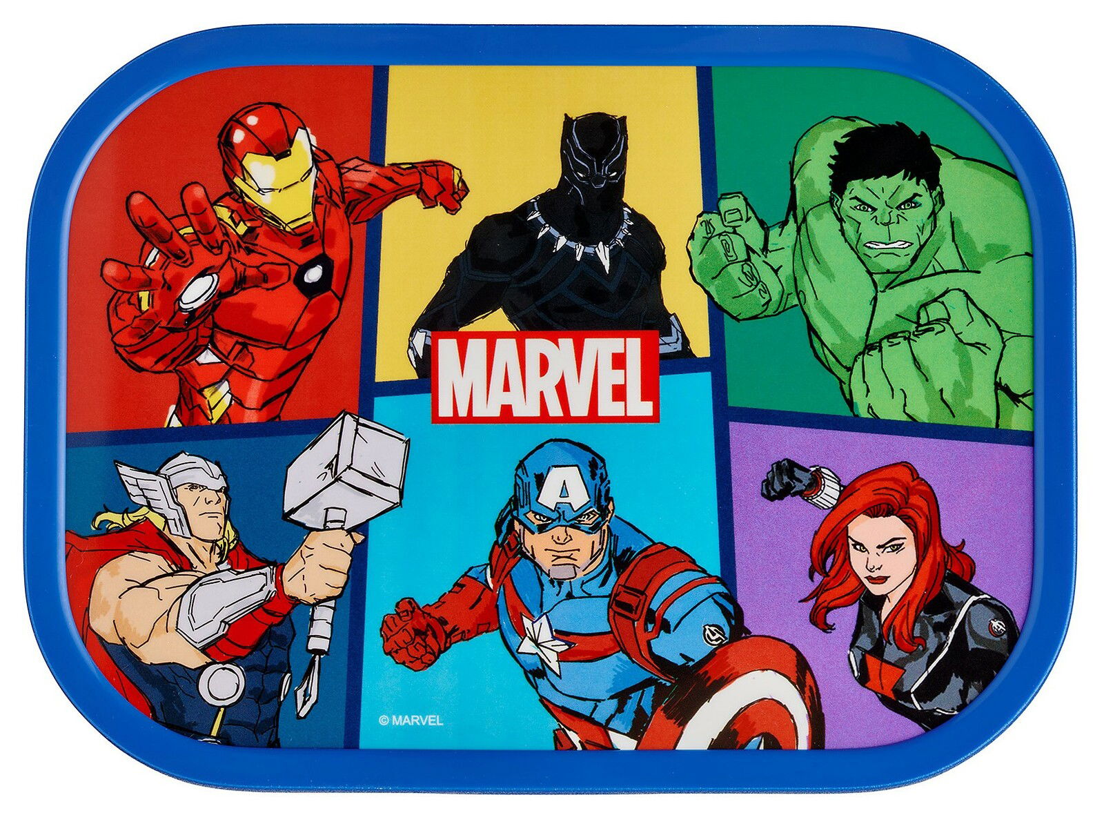 Lunchbox mit Marvel Avengers Design, zeigt Iron Man, Black Panther, Hulk, Thor, Captain America und Black Widow aus der Vogelperspektive.