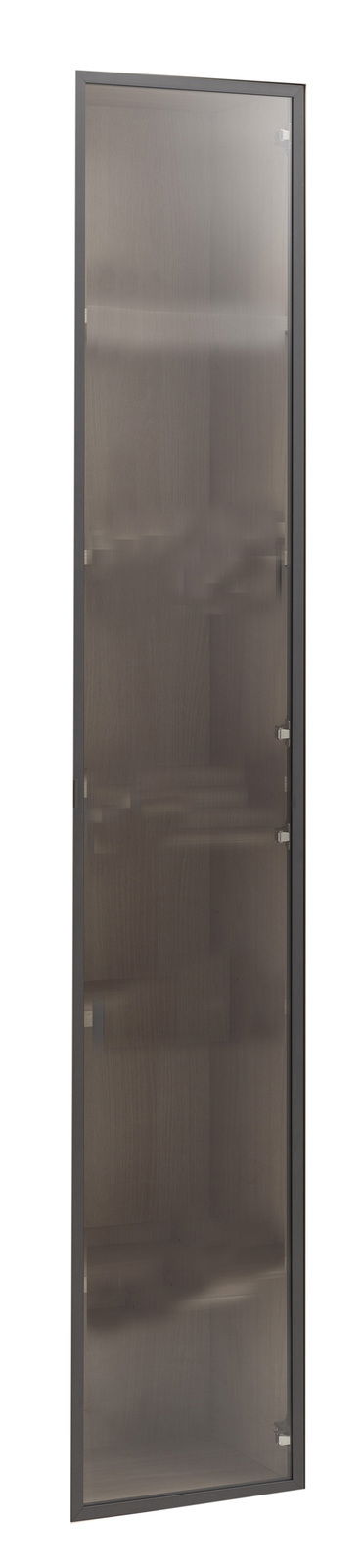 Glastür in Frontalansicht mit dunklem Rahmen und leicht getöntem Glas.