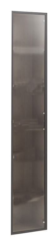Glastür in Frontalansicht mit dunklem Rahmen und leicht getöntem Glas.