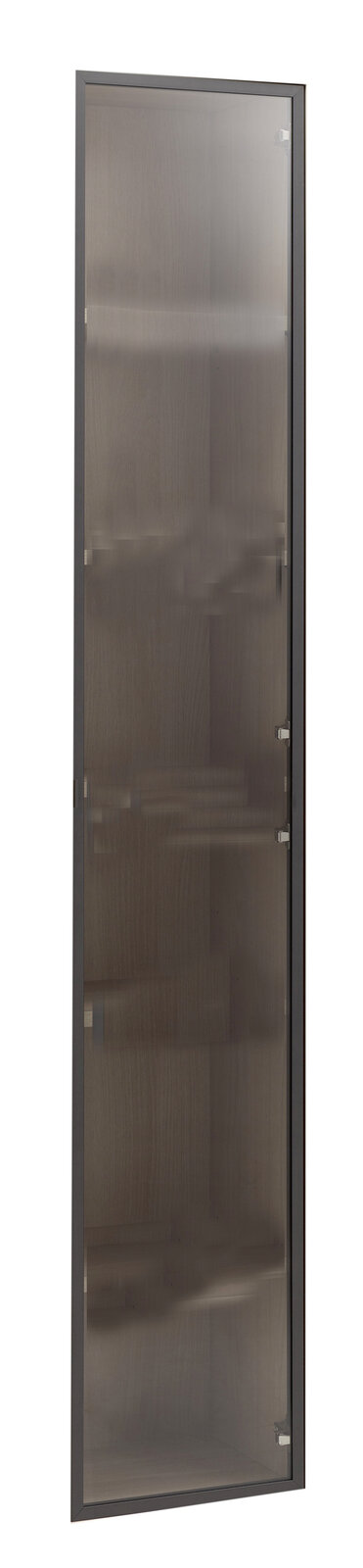 Glastür in Frontalansicht mit dunklem Rahmen und leicht getöntem Glas.
