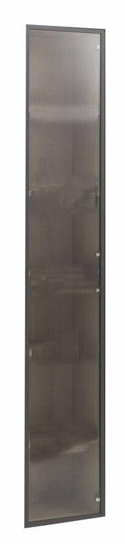 Glastür in Frontalansicht mit dunklem Rahmen und leicht getöntem Glas.