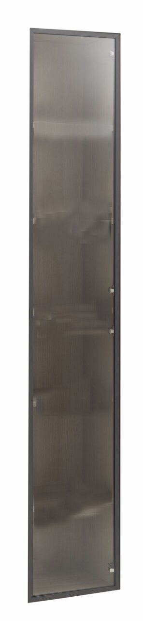 Glastür in Frontalansicht mit dunklem Rahmen und leicht getöntem Glas.