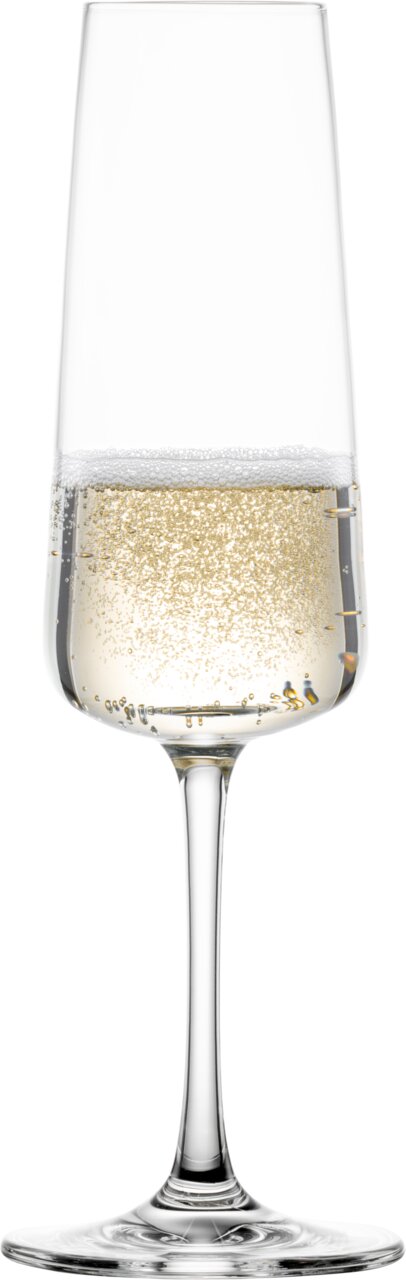 Sektglas mit Schaumwein, frontal fotografiert