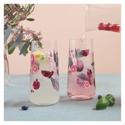 Zwei dekorative Gläser mit exotischen Vogel- und Fruchtmotiven, gefüllt mit Getränken, auf einem Tisch mit Pflanzen im Hintergrund. Seitliche Perspektive.