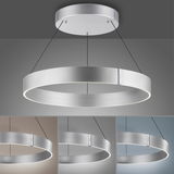 Moderne Pendelleuchte PURE E-CLIPSE von Paul Neuhaus in silberner Ringform, von unten betrachtet, mit verschiedenen Hintergrundfarben.
