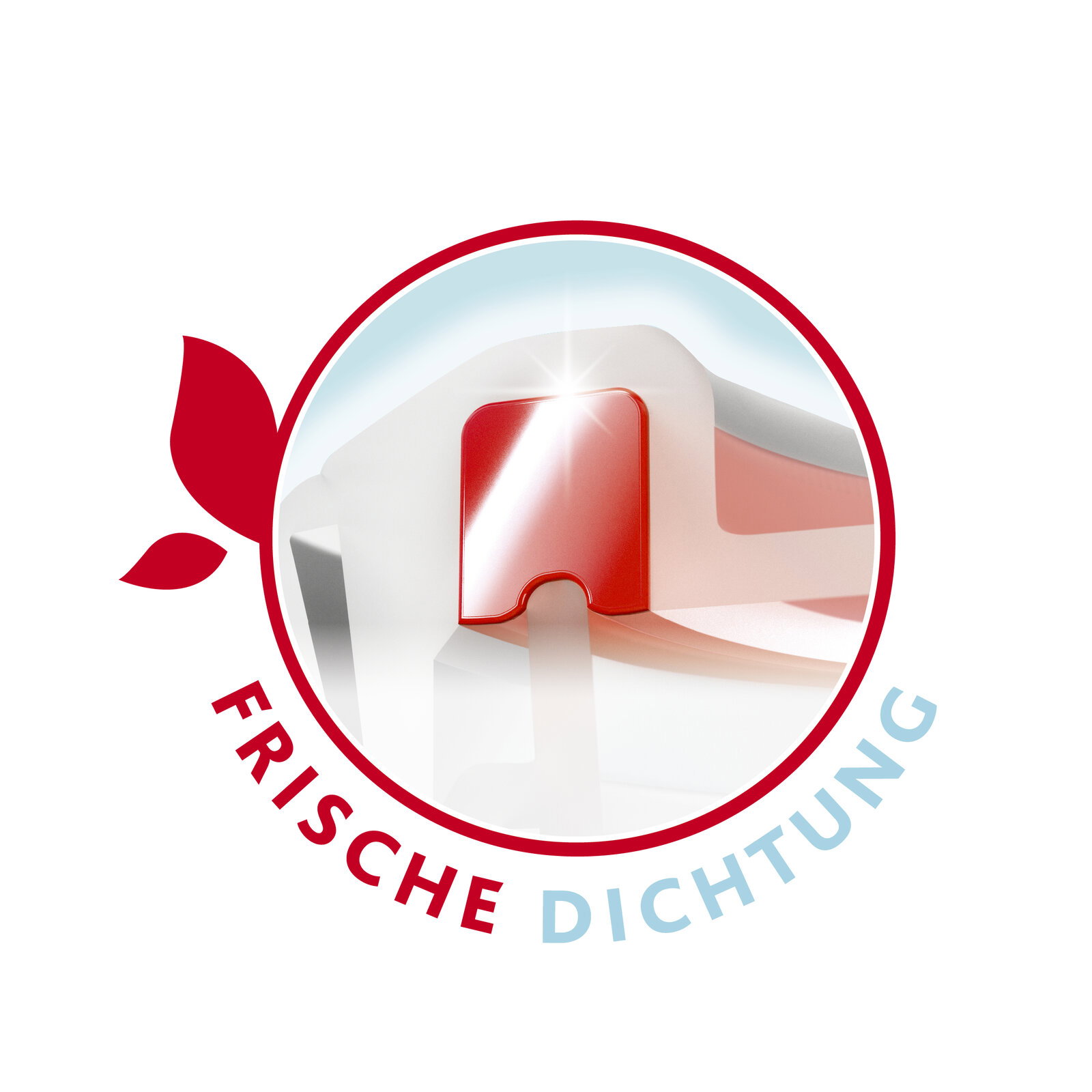 Nahaufnahme eines rechteckigen Glasbehälters mit rotem Verschluss und frischer Dichtung, seitliche Perspektive