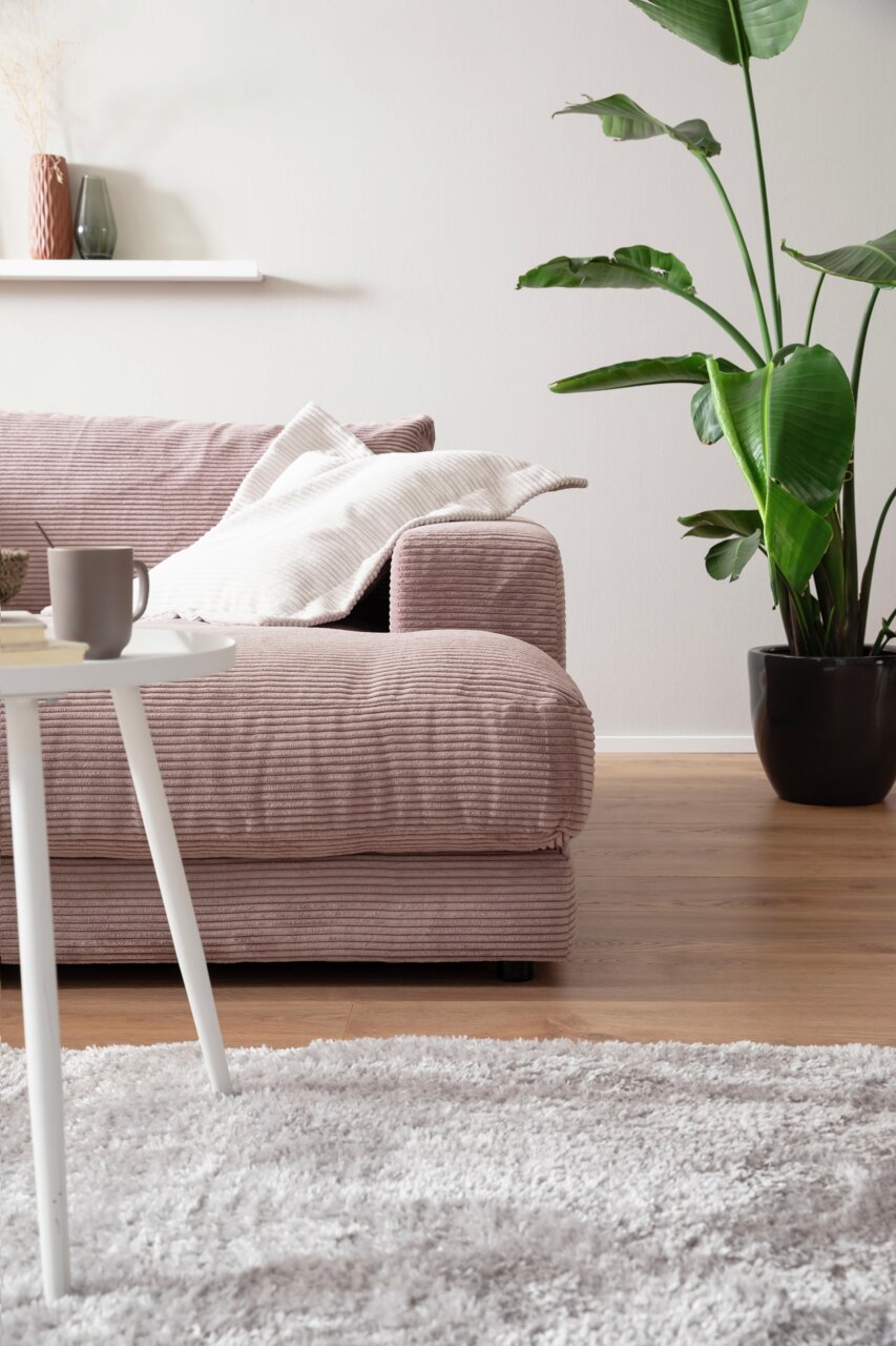 Großes Megasofa in einem modernen Wohnzimmer, seitliche Perspektive mit Kissen, Beistelltisch und Zimmerpflanze.