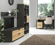 Modernes Wohnzimmer mit Regalelement in dunklem Holz und schwarzem Metall, seitliche Perspektive.