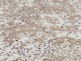 Nahaufnahme eines Designer Teppichs mit einem Muster in Beige- und Weißtönen, perspektivisch von der Seite aufgenommen.
