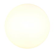 Runde Deckenleuchte DANIA in Draufsicht, leuchtend in warmem Weiß.