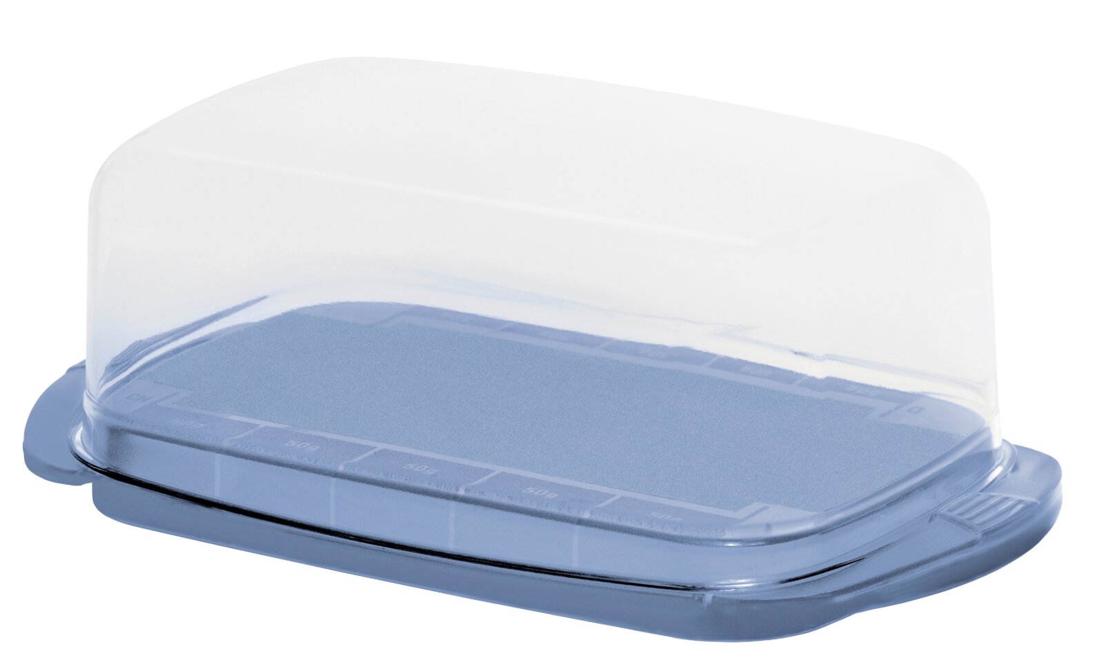 rotho Butterdose FRESH Transparente rechteckige Kunststoff-Butterdose mit blauem Boden und abgerundetem Deckel, schräg von vorne in leichter Seitenansicht fotografiert