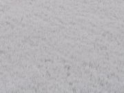 Nahaufnahme eines grauen Fellteppichs aus der Vogelperspektive