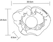 Draufsicht auf eine Solarleuchte mit unregelmäßiger, organischer Form und einem zentralen runden Element, Maße: 30,5 cm x 25,5 cm x 8,5 cm.