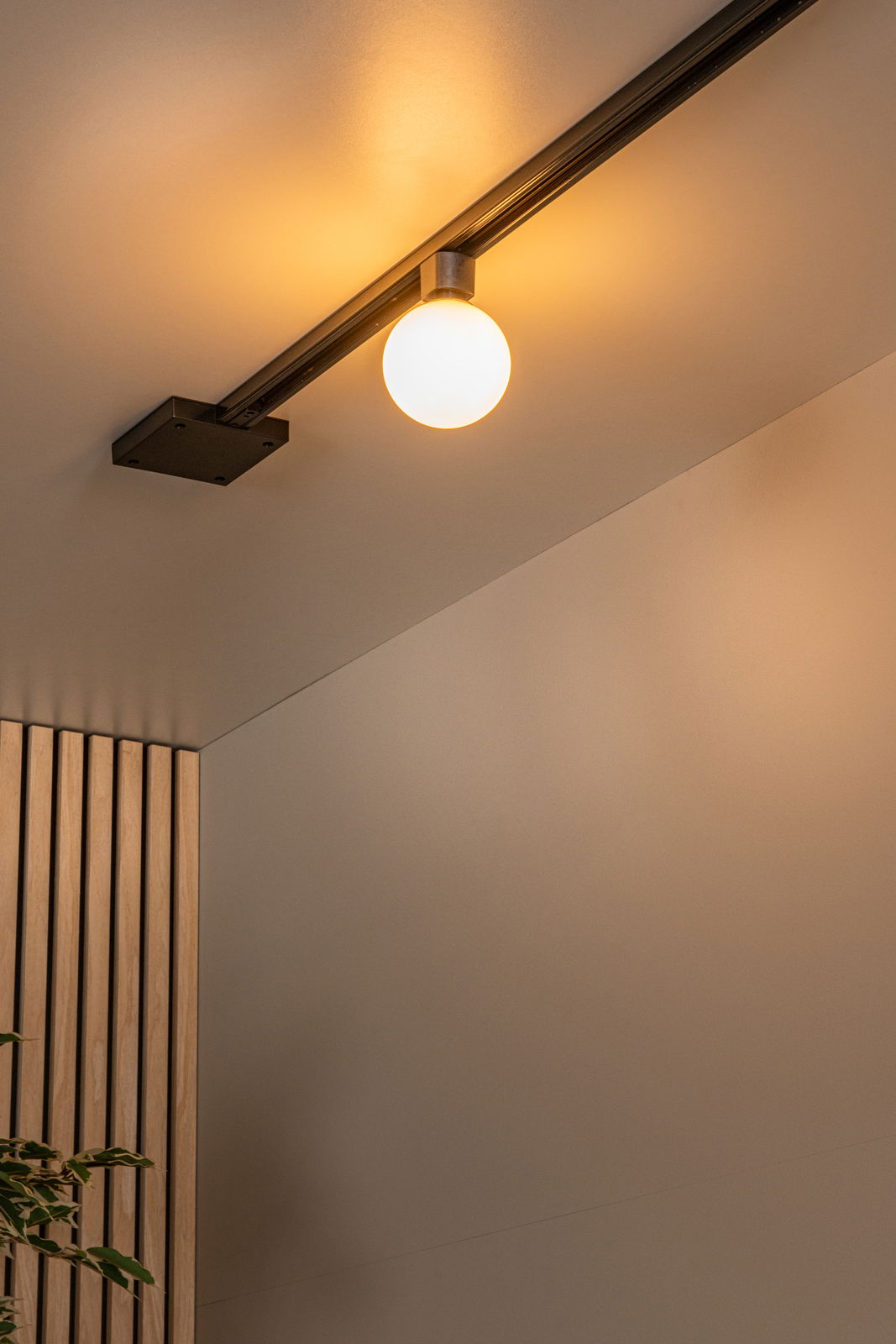 Deckenstrahler TYCHO in Schwarz mit Glas, montiert an einer Schiene, seitliche Perspektive