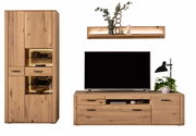 Frontale Ansicht einer modernen Wandkombination aus Holz mit einem hohen Schrank, einem TV-Board und einem Wandregal, dekoriert mit Pflanzen und Accessoires.