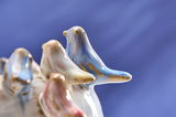 Nahaufnahme von einem dekorativen Topf mit mehreren kleinen, bunten Vogel-Figuren auf einem blauen Hintergrund.
