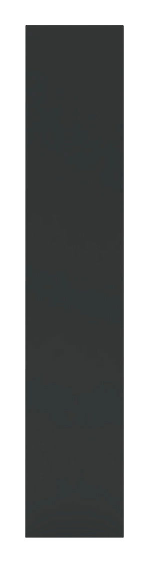 Ansicht einer anthrazitfarbenen Tür in voller Höhe, frontal betrachtet.