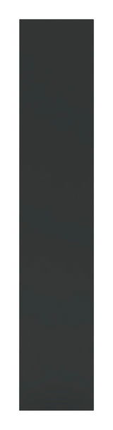 Ansicht einer anthrazitfarbenen Tür in voller Höhe, frontal betrachtet.