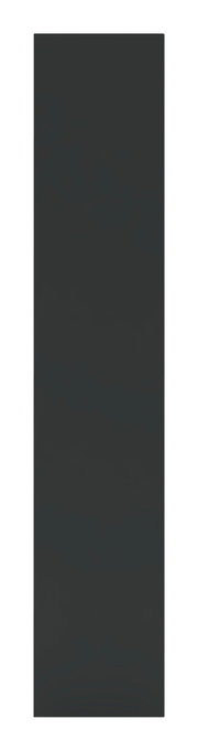 Ansicht einer anthrazitfarbenen Tür in voller Höhe, frontal betrachtet.