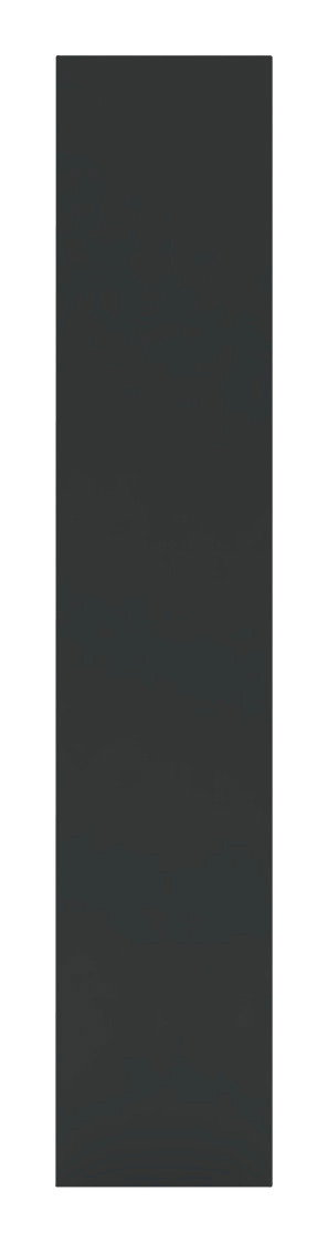 Ansicht einer anthrazitfarbenen Tür in voller Höhe, frontal betrachtet.