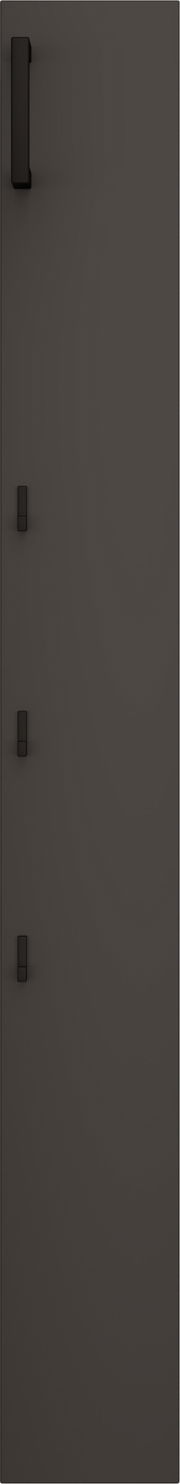 Schmales Garderobenpaneel in dunkler Farbe mit mehreren Haken, frontale Ansicht.