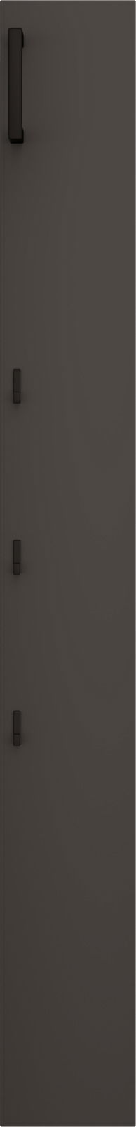 Schmales Garderobenpaneel in dunkler Farbe mit mehreren Haken, frontale Ansicht.