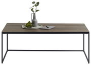 Moderner Couchtisch mit Holzplatte und schwarzem Metallgestell, frontal fotografiert. Dekoriert mit einer Vase, einem grünen Gefäß und einem Notizbuch.