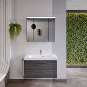 Modern badkamermeubel met spiegel en wastafel, vooraanzicht, hangplant en groene muur op de achtergrond.