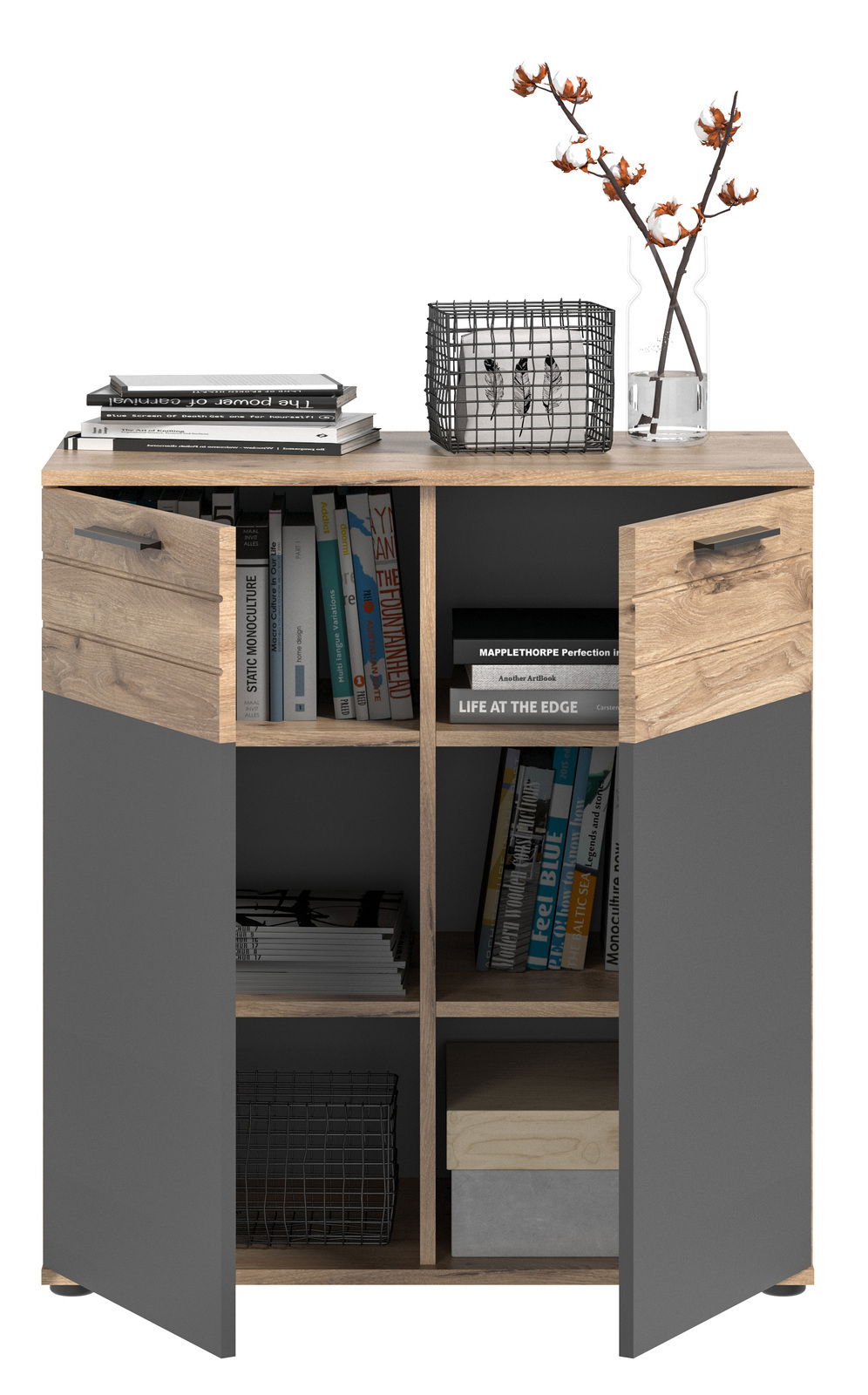 Kommode mit zwei offenen Türen, Bücher und Dekorationen auf der Oberseite, Frontalansicht