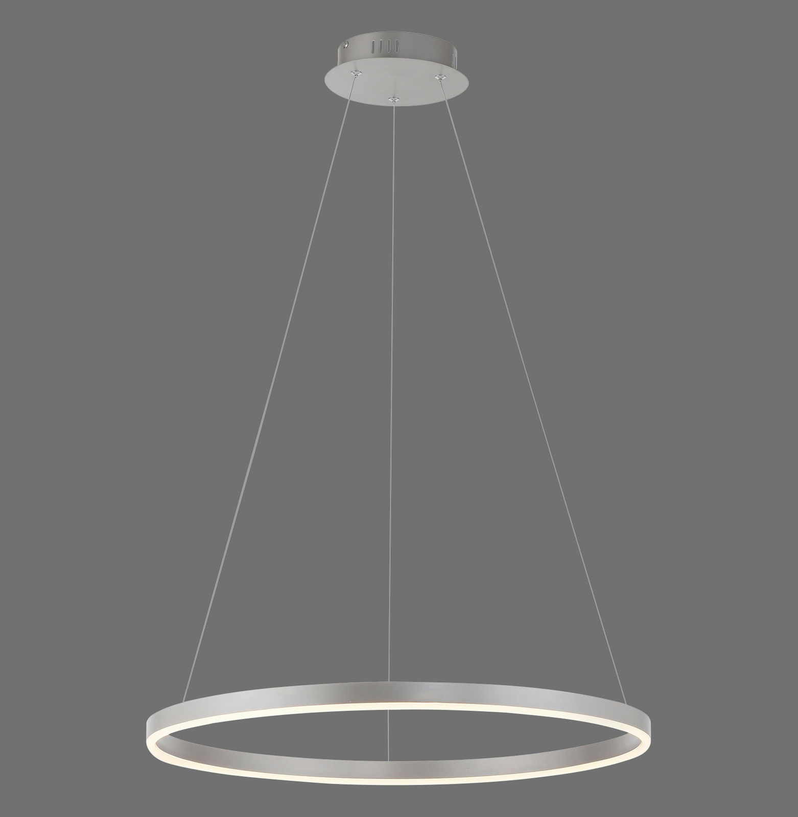 Moderne Pendelleuchte RITUS in Ringform, von unten betrachtet, mit schlankem, silbernem Design.