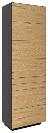 Moderner Garderobenschrank mit Holzfronten und dunklen Seiten, perspektivisch von vorne links betrachtet.