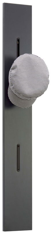 Garderobenpaneel in dunklem Design mit einem Haken, auf dem eine karierte Mütze hängt, seitliche Perspektive.