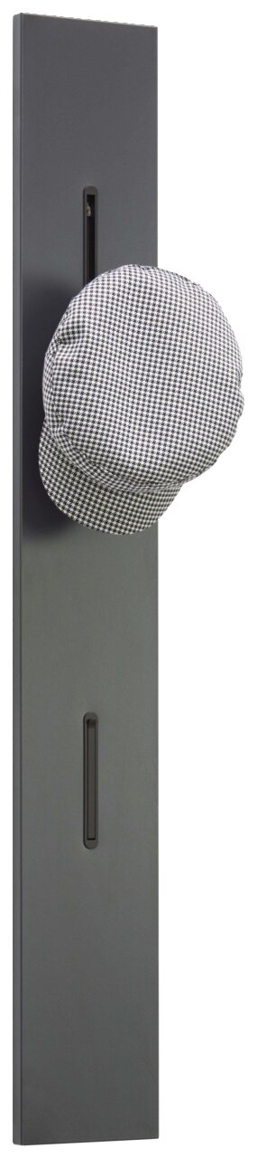 Garderobenpaneel in dunklem Design mit einem Haken, auf dem eine karierte Mütze hängt, seitliche Perspektive.