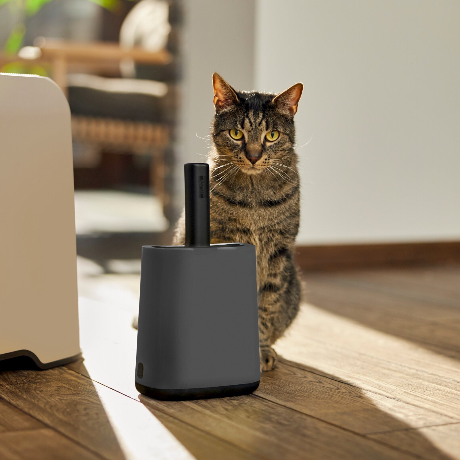 Reinigingsset voor kattenbakvulling in een modern ontwerp, met op de voorgrond een kat en op de achtergrond een houten vloer in een goed verlichte ruimte.