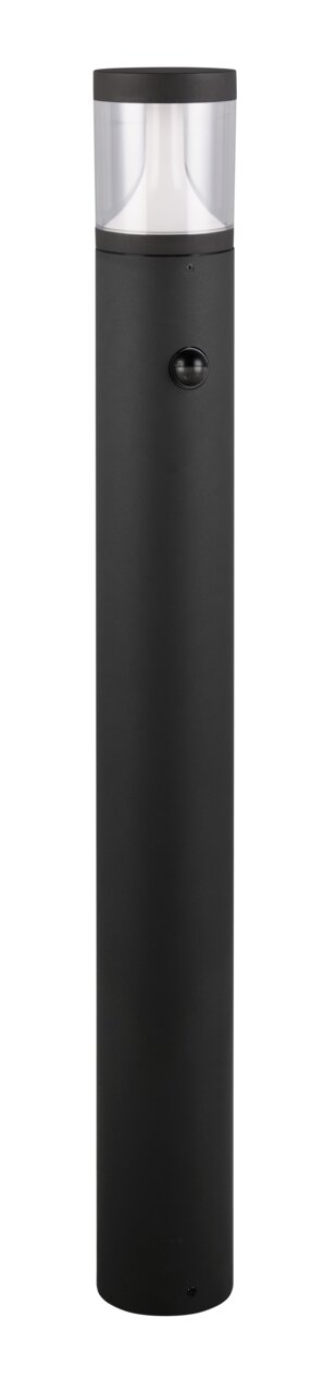Schwarze LED-Außen-Bodenleuchte in zylindrischer Form, frontal abgebildet