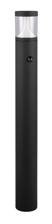 Schwarze LED-Außen-Bodenleuchte in zylindrischer Form, frontal abgebildet