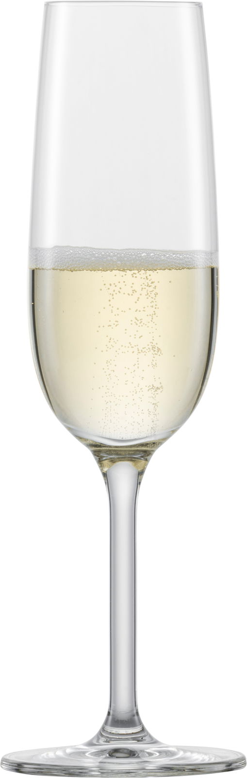 Sektglas mit Schaumwein, frontal fotografiert