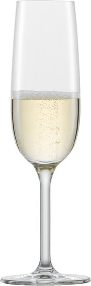 Sektglas mit Schaumwein, frontal fotografiert