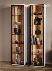 Zwei moderne Vitrinen mit Glasregalen und dekorativen Objekten, frontal betrachtet, mit integrierter Beleuchtung.