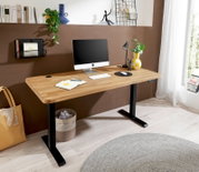 Moderner E-Schreibtisch mit Holzplatte und schwarzem Gestell, ausgestattet mit Computer, Lampe und Pflanzen, seitliche Perspektive.