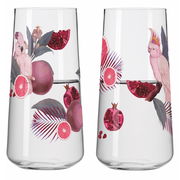 Zwei elegante Gläser mit tropischem Design, verziert mit Kakadus, Granatäpfeln und Palmenblättern, aus der Seitenperspektive fotografiert.