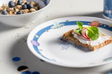 Kindergeschirr mit Weltall-Motiv, bestehend aus einem Teller mit Astronauten- und Planeten-Design, von schräg oben fotografiert. Im Vordergrund ein belegtes Brot, im Hintergrund eine Schale mit Müsli und Blaubeeren.