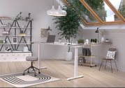 Modern, in hoogte verstelbaar elektrisch bureau in een stijlvolle, lichte werkkamer met dakraam, planten en planken, gezien vanuit de zijkant.