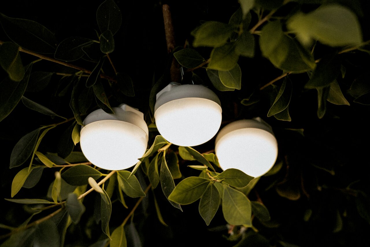 Newgarden Accu-lamp CHERRY MINI Drie stralende, ronde witte buitenlampen tussen groene bladeren, gefotografeerd vanuit een kikkerperspectief van onder naar boven.
